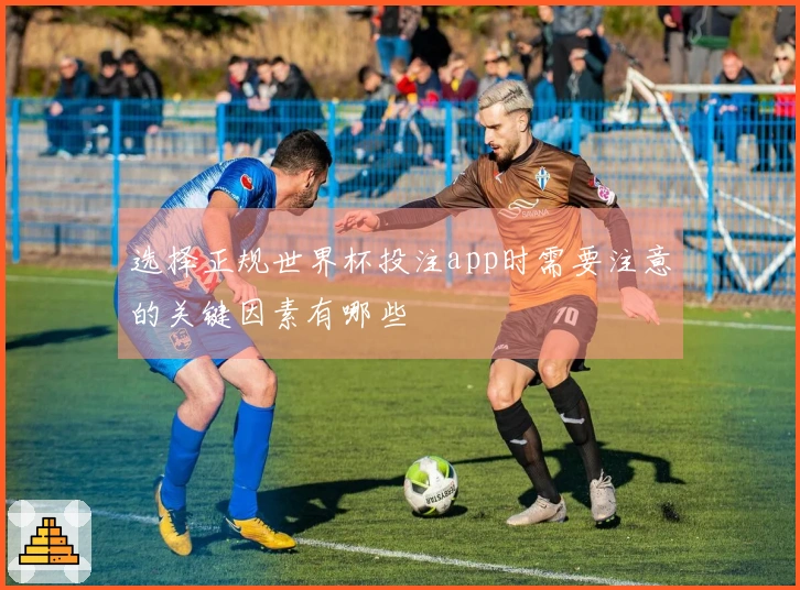 选择正规世界杯投注app时需要注意的关键因素有哪些