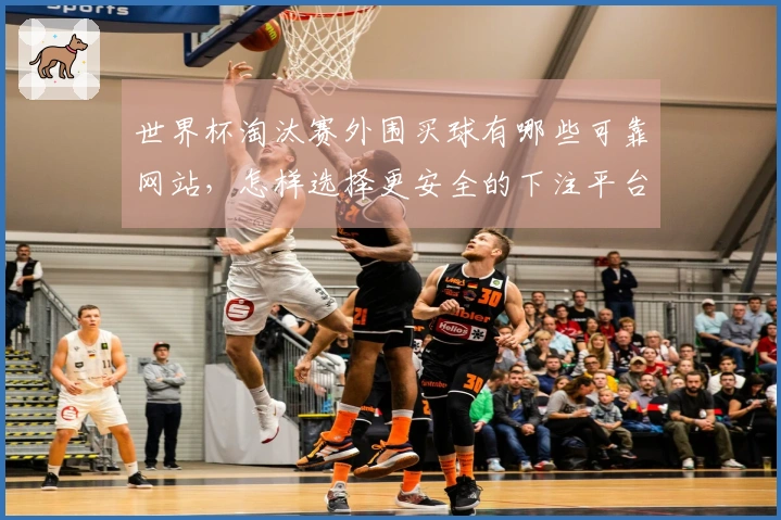 世界杯淘汰赛外围买球有哪些可靠网站，怎样选择更安全的下注平台？