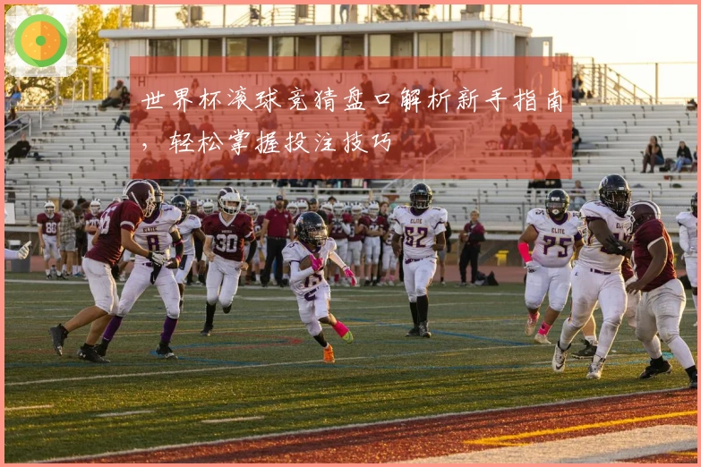 世界杯滚球竞猜盘口解析新手指南，轻松掌握投注技巧
