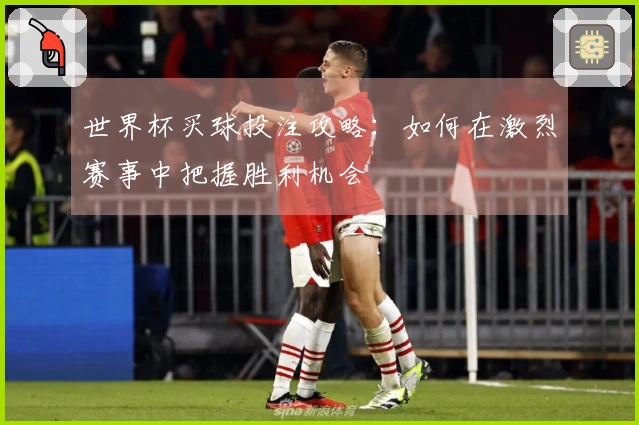世界杯买球投注攻略：如何在激烈赛事中把握胜利机会