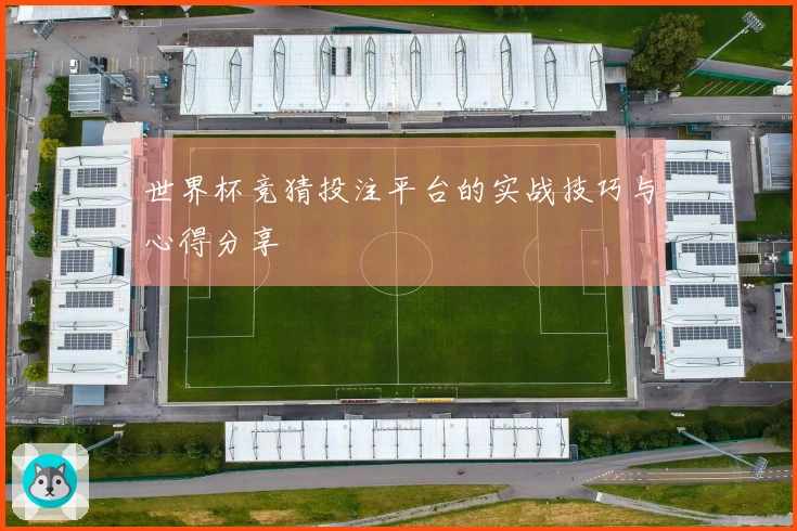 世界杯竞猜投注平台的实战技巧与心得分享
