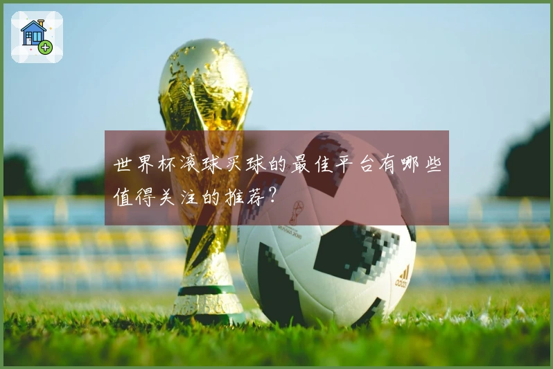 世界杯滚球买球的最佳平台有哪些值得关注的推荐？