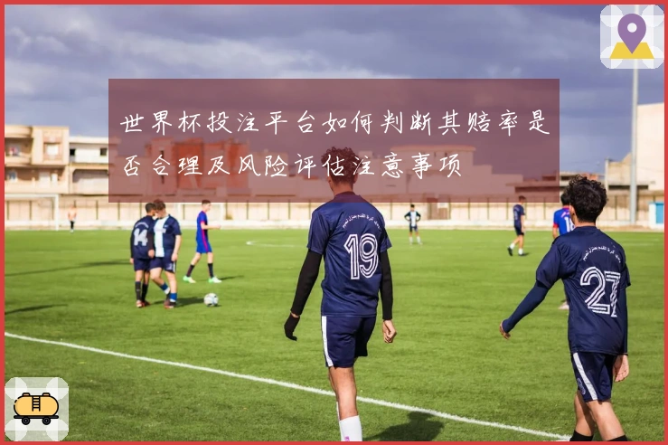 世界杯投注平台如何判断其赔率是否合理及风险评估注意事项