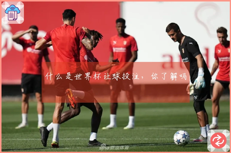 什么是世界杯让球投注，你了解吗