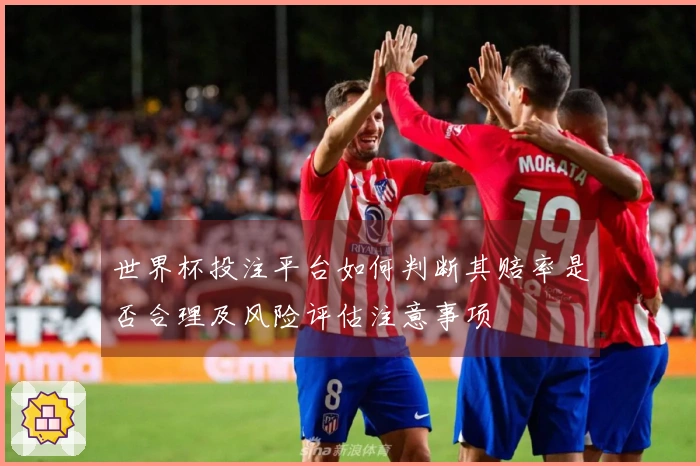 世界杯投注平台如何判断其赔率是否合理及风险评估注意事项