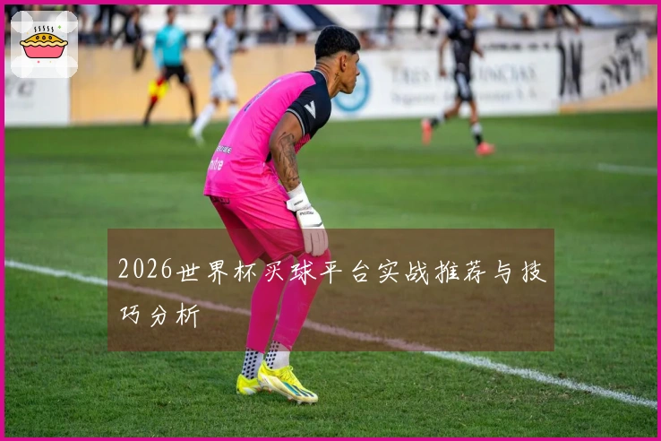 2026世界杯买球平台实战推荐与技巧分析