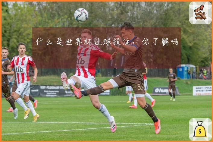 什么是世界杯让球投注，你了解吗