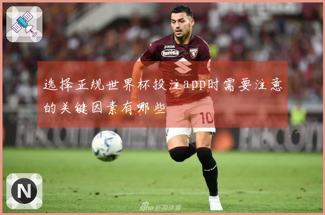 选择正规世界杯投注app时需要注意的关键因素有哪些